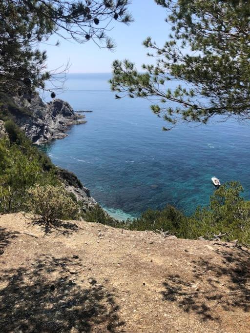 Charmant Studio dans villa - parking - jardin La Seyne-sur-Mer Bagian luar foto